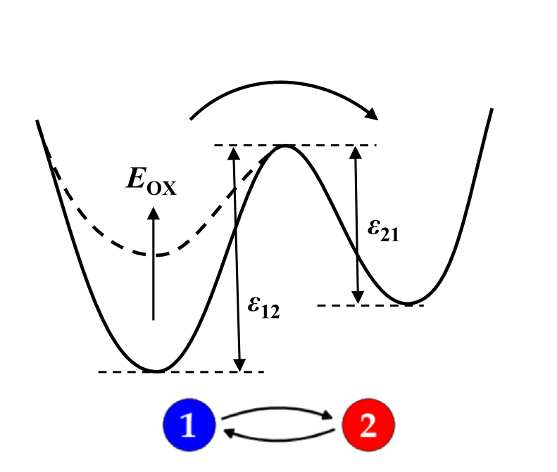 comphy-band_diagram_traps